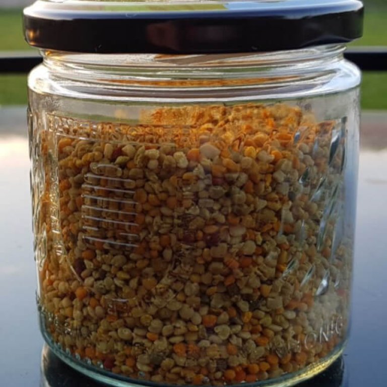 Blütenpollen waschen & trocknen