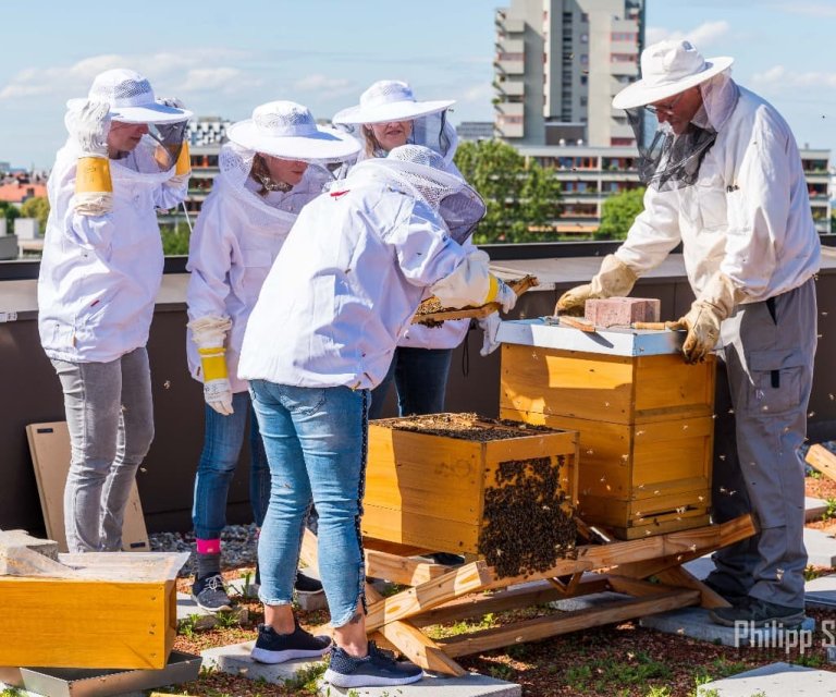 bienen-mieten