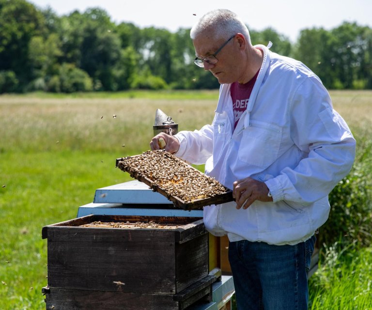 Bruno mit Bienen 2025.GenV1